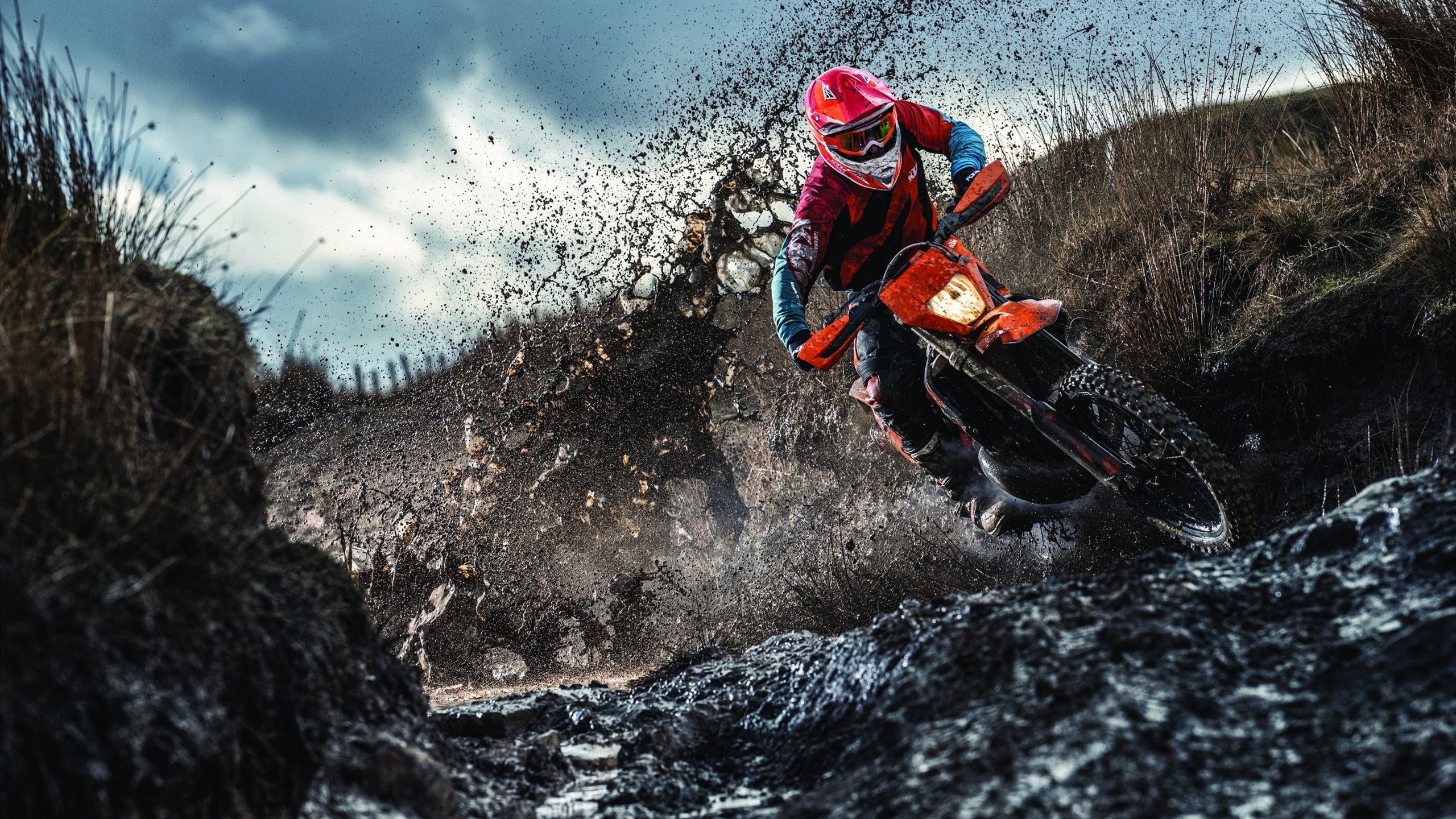 NBA总决赛抢七大战落幕 新王加冕